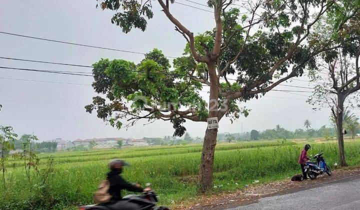 Tanah Dijual di Jalan Pramuka di Cianjur, Jalan Mainroad 2