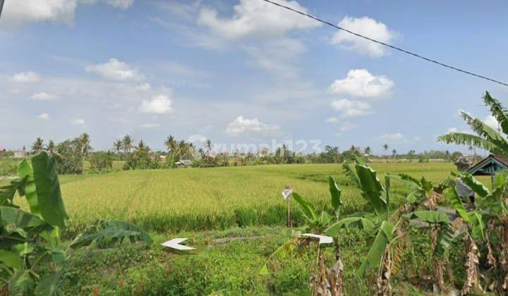 Kavling Dijual Seseh, 500 Meter Ke Pantai Munggu 1