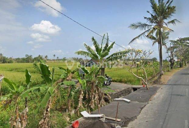 Kavling Dijual Seseh, 500 Meter Ke Pantai Munggu 2