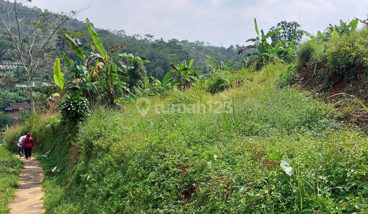 Tanah Seluas 4 Hektar Dijual di Cianjur Arah Gunung Padang 1