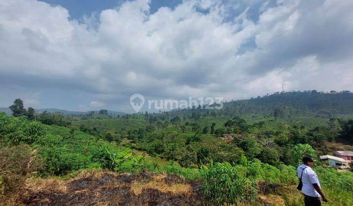 Tanah Seluas 4 Hektar Dijual di Cianjur Arah Gunung Padang 2