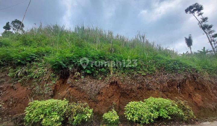 Tanah di Cianjur Selatan Dijual, Jalan Beton 1