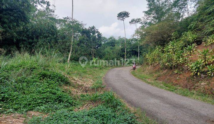 Tanah Dijual di Desa Sukamekar Sukanagara Cianjur Jawa Barat 1