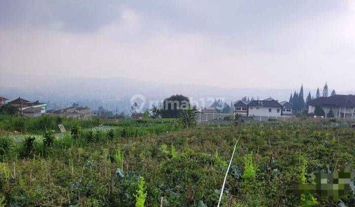 Tanah Dijuall Cepatt di Sukajaya, Lembang Kbb 1