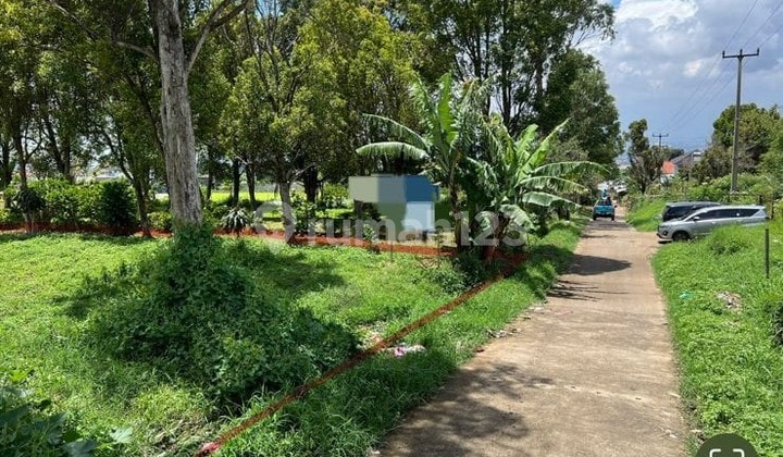 Dijual Tanah Area Parongpong Kab Bandung Barat (Utara Setiabudi Regency) Dijual Tanah Area Parongpong Kab Bandung Barat (Utara Setiabudi Regency)