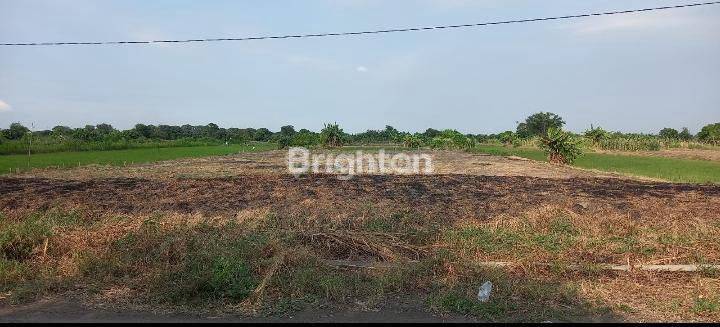 TANAH URUKAN SIAP BANGUN TERLETAK DI KOTA GRESIK BEBAS BANJIR 2