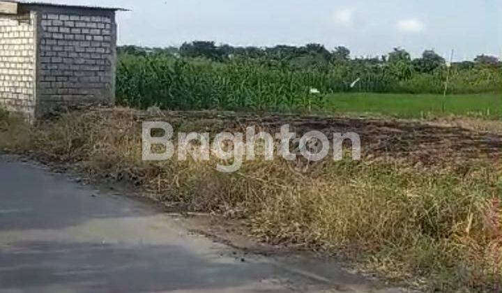 TANAH URUKAN SIAP BANGUN TERLETAK DI KOTA GRESIK BEBAS BANJIR 1