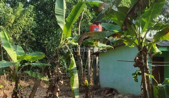 Rumah Baru Murah 1 Lantai Luas Tanah 490 M2 di Cigoong, Serang, Banten 5