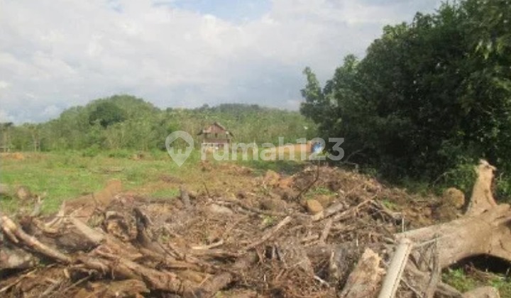 FOR SALE: LARGE LAND CHEAP in GOWA REGENCY, Makassar, South Sulawesi | NEGOTIABLE UNTIL SOLD | Strategic Location in Pattallassang, Suitable for Housing Development and More !! FOR SALE: LARGE LAND CHEAP in GOWA REGENCY, Makassar, South Sulawesi | NEGOTIABLE UNTIL SOLD | Strategic Location in Pattallassang, Suitable for Housing Development and More !!