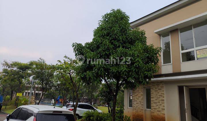 Termurah Sewa Rumah Kontrakan Baru Semi Furnished di Thomson Harga Bawah Pasaran  1