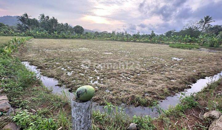 Dijual Tanah Anyer Pandeglang Dekat Hotel Lippo , Archipelago  Tanah di Anyer, Pandeglang SHM - Sertifikat Hak Milik 43800 Squaremeter 2