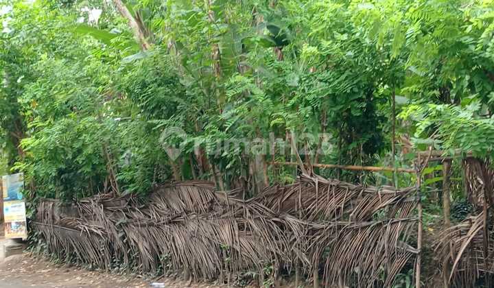 For Rent Commercial Land In Sengkidu Karangasem Bali For Rent Commercial Land In Sengkidu Karangasem Bali