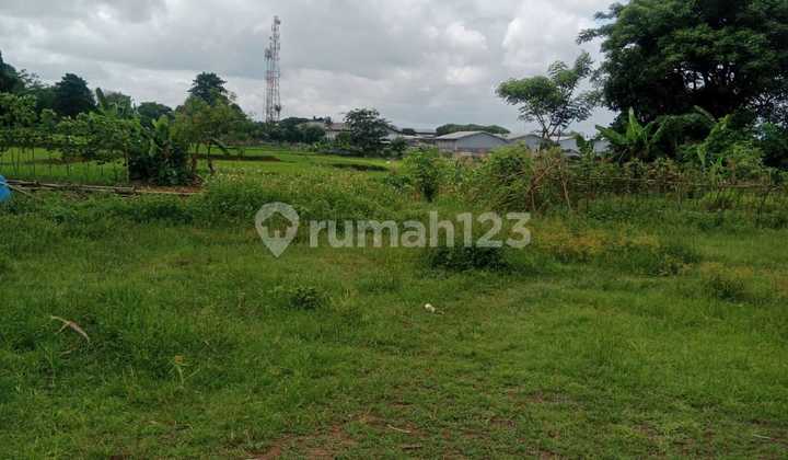 Dijual Tanah di Kp.serdang Kulon Gg Made Serdang Kulon, Kec. Panongan, Tng