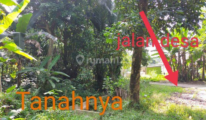 Dijual murah tanah ada mata airnya di Desa Rabak Kec. Rumpin Bogor 2