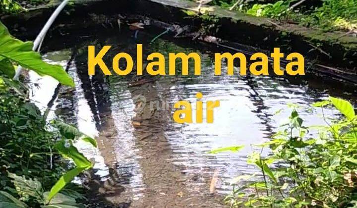 Dijual murah tanah ada mata airnya di Desa Rabak Kec. Rumpin Bogor 1