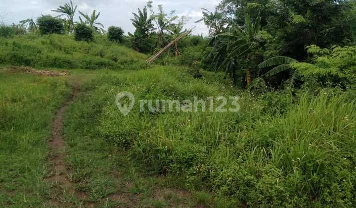 For Sale Land in Kp. Serdang Kulon Gg Made Serdang Kulon, Kec. Panongan, Tng
