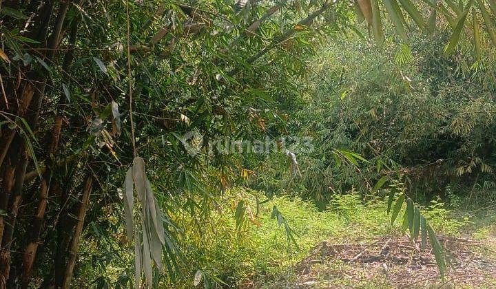 Dijual Tanah di Gugusan Sukasari Rumpin Bogor 2