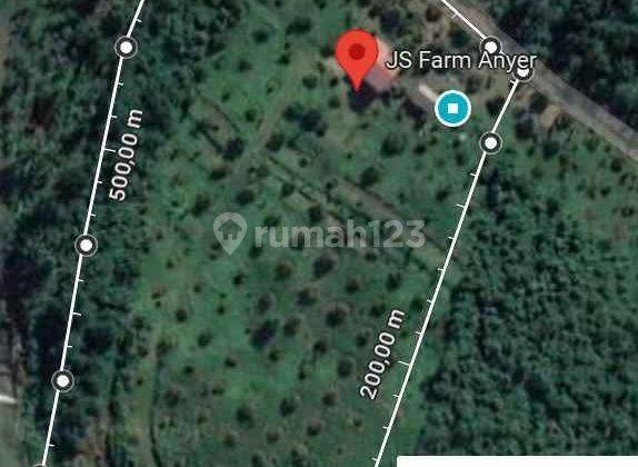 beli tanah bonus kebun durian, kebun alpukat, dan villa 2