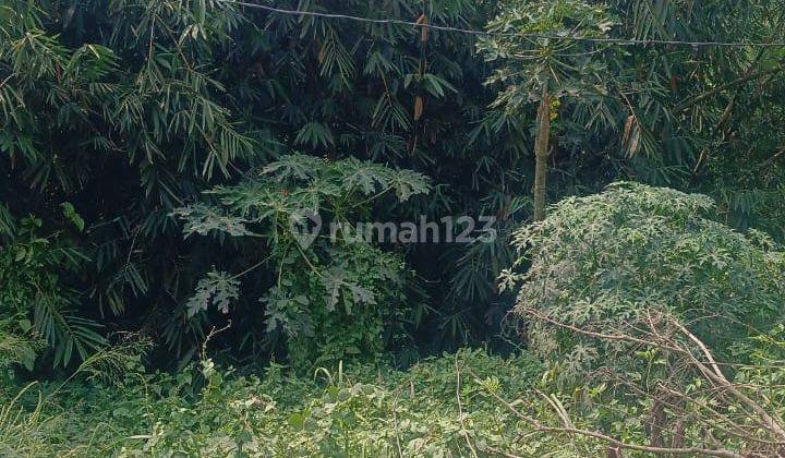 Dijual Tanah di Jl Raya Maloko Cicangkal Rumpin Bogor 2