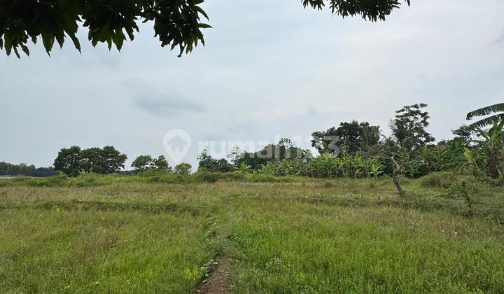 Very Cheap Sale, 12 Hectares of Land, Suitable for Building a Factory, Industrial Permit, Near Toll Gate in Subang, West Java... (Code Rmrg 2852) Very Cheap Sale, 12 Hectares of Land, Suitable for Building a Factory, Industrial Permit, Near Toll Gate in Subang, West Java... (Code Rmrg 2852)