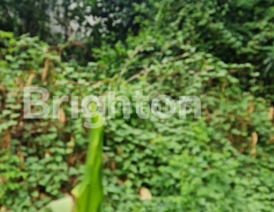 *dijual Tanah Komersil Luas 489m2 Plus Bonus Bangunan Ruko, Hitung Tanah Di Pinggir Jalan Raya Bendungan Hilir, Tanah Abang, Jakarta Pusat..*(kode Rmrg 2748)