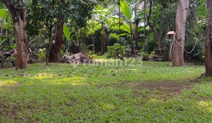 *dijual Rumah Tua Terawat / Hitung Tanah**dalam Komplek Perumahan**jl. Raya Panjang**kebon Jeruk,* *jakarta Barat.*(kode Rmrg 2712) *dijual Rumah Tua Terawat / Hitung Tanah**dalam Komplek Perumahan**jl. Raya Panjang**kebon Jeruk,* *jakarta Barat.*(kode Rmrg 2712)