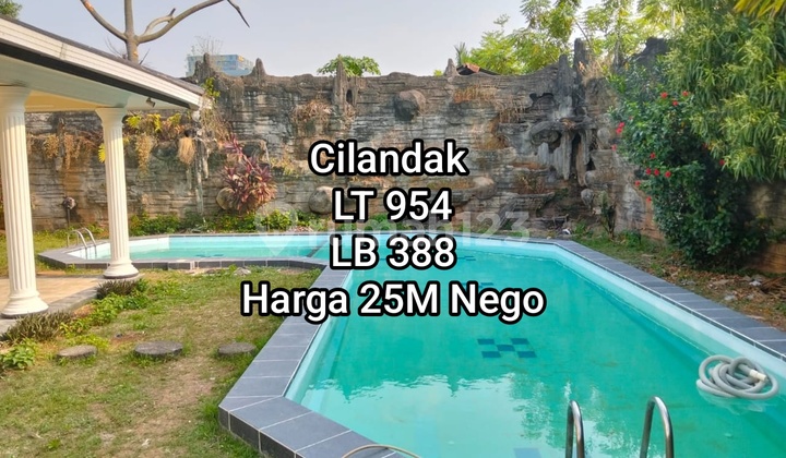 Rumah Halaman Luas di Cilandak Jakarta Selatan