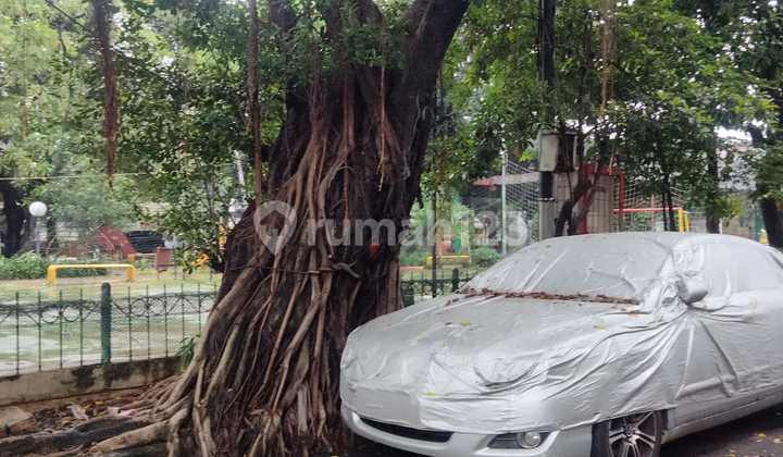 For Rent House in Sunter, Area 6X17 Meters, Code: 13124 Br/Si 2