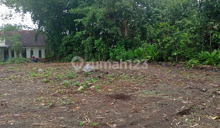 Miliki Tanah Potensial di Triharjo Sleman Legalitas SHM Pekarangan Siap Balik Nama!