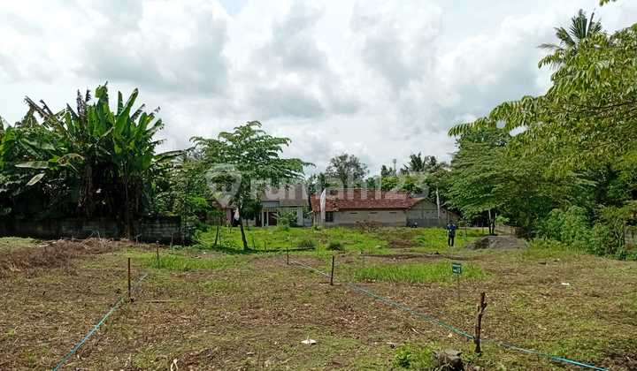 Para Pencari Rumah Merapat! Rumah Murah di Sleman Ini Hanya 300 Jt-An Para Pencari Rumah Merapat! Rumah Murah di Sleman Ini Hanya 300 Jt-An
