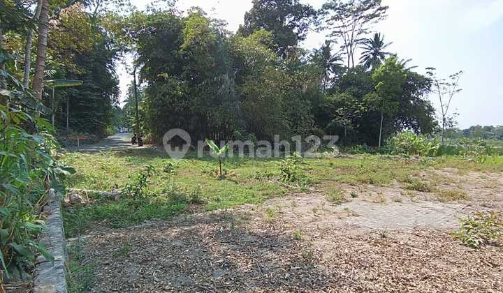 Tanah Pekarangan Murah Strategis di Manisrenggo, Cocok untuk Rumah. Tanah Pekarangan Murah Strategis di Manisrenggo, Cocok untuk Rumah.