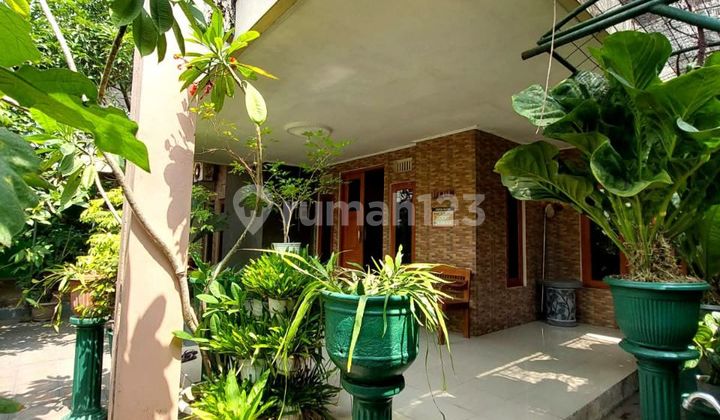 Rumah Klasik Sejuk Asri Jetis Ring 1 Tugu Malioboro.JARANG ADA TERMURAH Rumah Klasik Sejuk Asri Jetis Ring 1 Tugu Malioboro.JARANG ADA TERMURAH