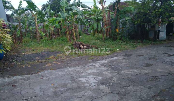 Tanah Cantik di Sendangtirto berbah sleman jogjakarta  8