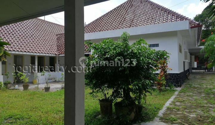Kantor Disewakan Murah Dkt Kraton Jogja.NEW & NEGO SAMPAI DEAL  !!  5