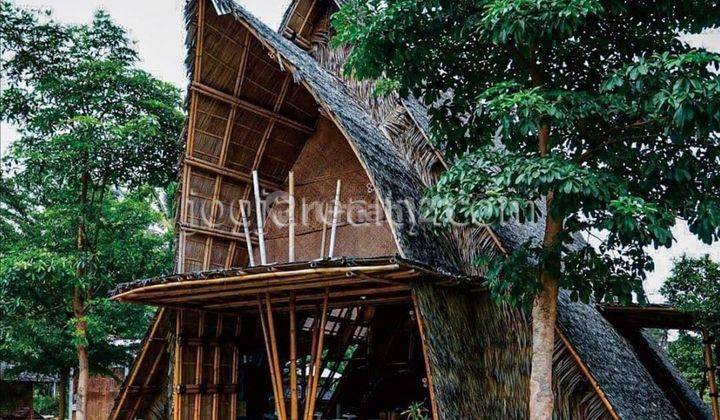 Tanah Dijual Murah Tempuran Magelang Jateng.NEGO SEJADINYA BU !! 7