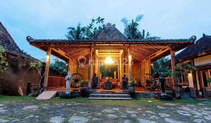 Villa Gallery Homestay Bangunjiwo Kasihan Jogja.jarang Ada Bu , Bantul 1