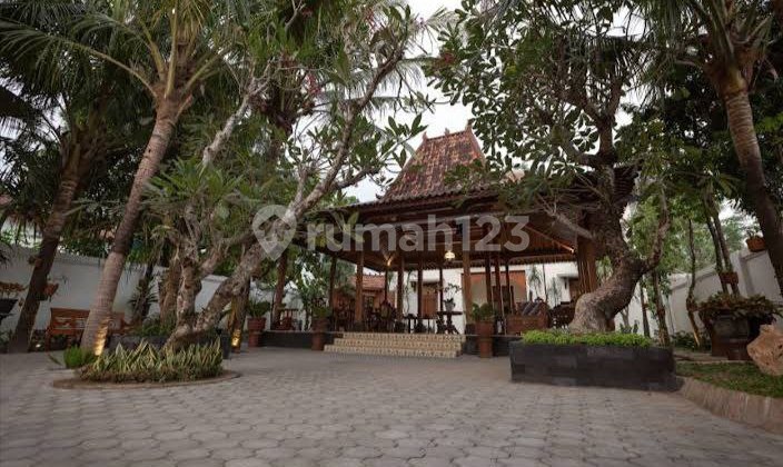 Classic Javanese Nuansa Hotel near JEC Jogja. RARE CHEAP PULUNG!!!