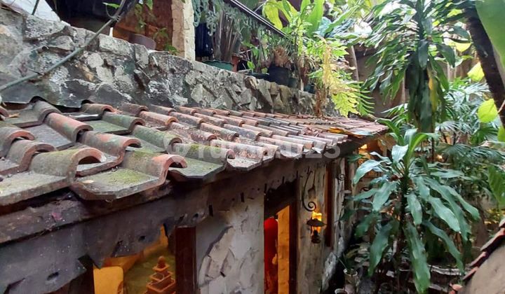 Natural Tropical House in Jetis, Central City Ring 1 Near Tugu Jogja. RARE FIND, MA'AM! 2