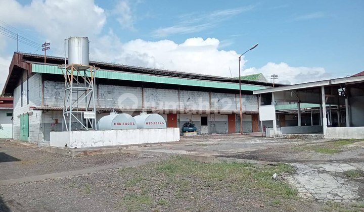 Tanah Bonus Pabrik Kecap Probolinggo Jatim,JARANG ADA TERMURAH BU!!!