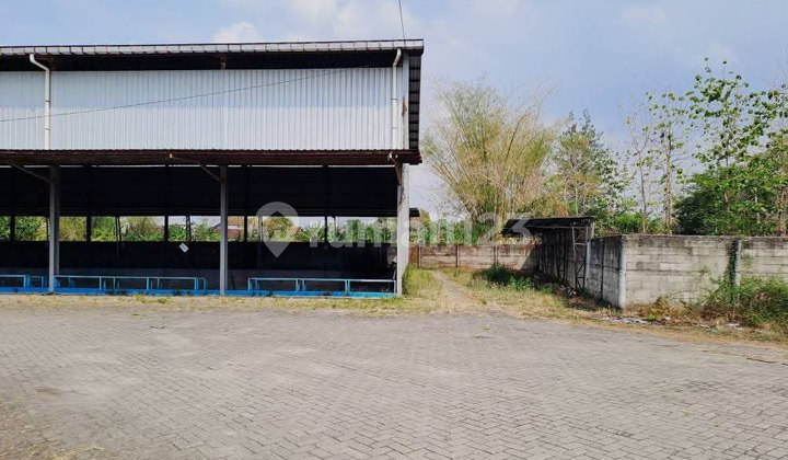 Bonus Land Spacious Warehouse Bojonegoro East Java. BEST STRATEGIC LOCATION, DUDE!!! Bonus Land Spacious Warehouse Bojonegoro East Java. BEST STRATEGIC LOCATION, DUDE!!!