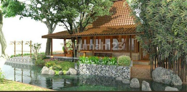 Cool and Lush Joglo Villa with Private Pool in Godean, Sleman, Yogyakarta. RARE FIND!!!