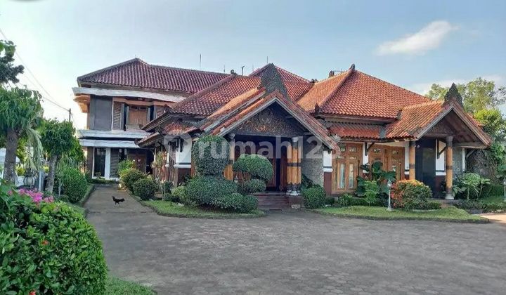 The Best and Widest Pendopo Meeting Building in Purworejo, Central Java. RARELY FOUND The Best and Widest Pendopo Meeting Building in Purworejo, Central Java. RARELY FOUND