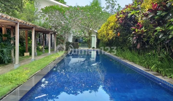 Spacious Cool Luxury House with Private Pool in Palagan, Jogja. PRICE REDUCED Spacious Cool Luxury House with Private Pool in Palagan, Jogja. PRICE REDUCED