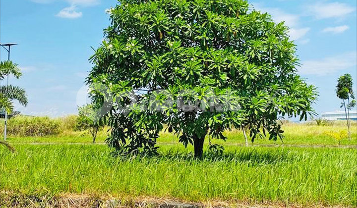 Surya Pratama Ciampel Land Plot, Karawang, West Java Surya Pratama Ciampel Land Plot, Karawang, West Java