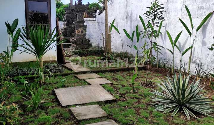 Pet friendly and big garden house for rent 2