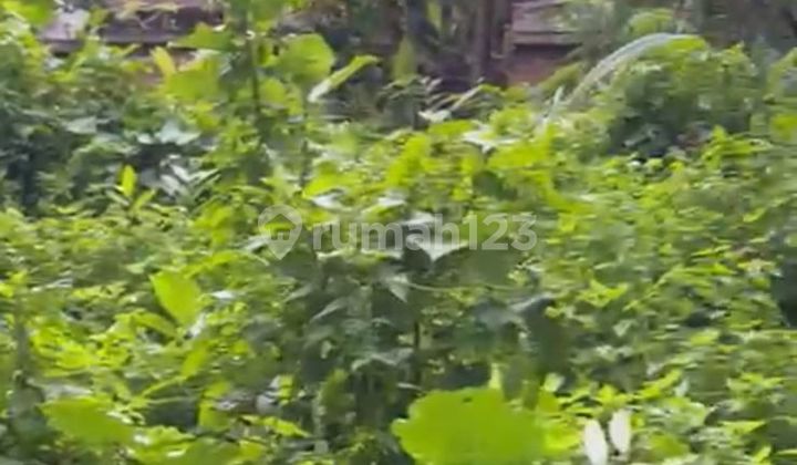 Prime 7 Land -Are Leasehold Opportunity In Pejeng Close To Ubud