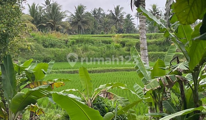 Rare Long-Term Lease Land Opportunity: Prime Plot In Pejeng, Ubud