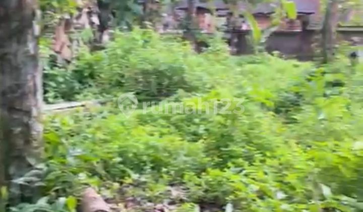 Prime 7 Land - A Leasehold Opportunity in Pejeng Near Ubud Prime 7 Land - A Leasehold Opportunity in Pejeng Near Ubud