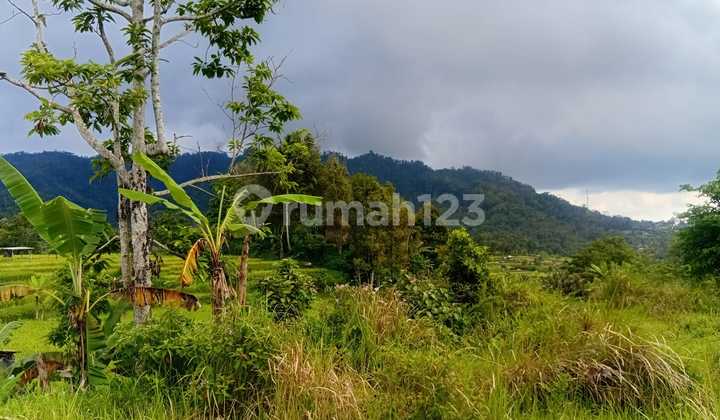 Jual Tanah di Sidemen Karangasem dengan Pemandangan Gunung Agung Nan Megah_mtx Jual Tanah di Sidemen Karangasem dengan Pemandangan Gunung Agung Nan Megah_mtx