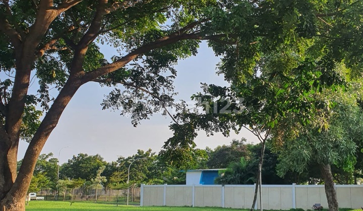 Cheap Land Plots for Sale in Suvarna Sutera Area